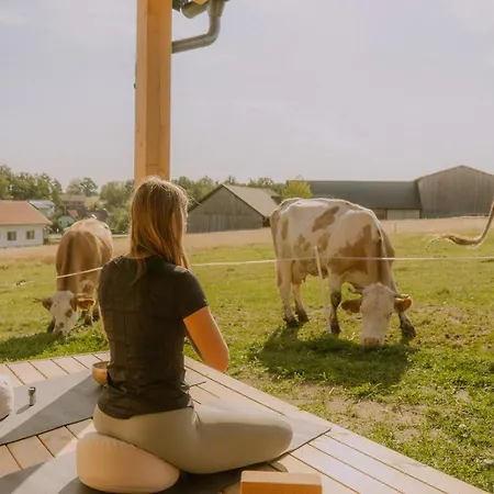 Tiny Haus Waldviertel - Urlaub Am Biohof 度假居 *