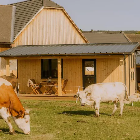 Tiny Haus Waldviertel - Urlaub Am Biohof 度假居 *